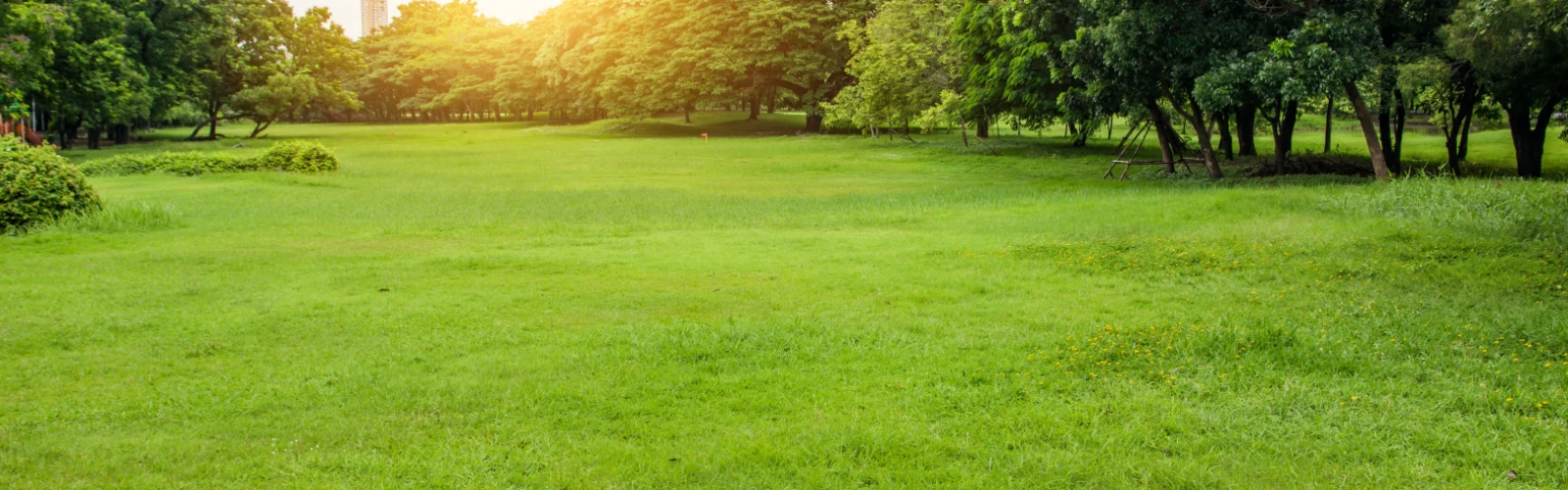 Family Fun at Brackenridge Park