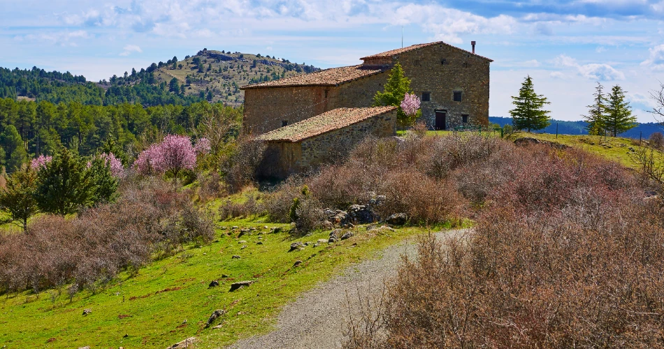 Budget-Friendly Things to Do in San Antonio
